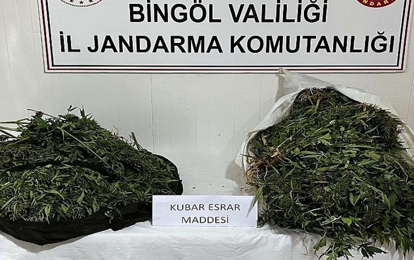 Yol Kontrölü'nde Ele Geçirildi