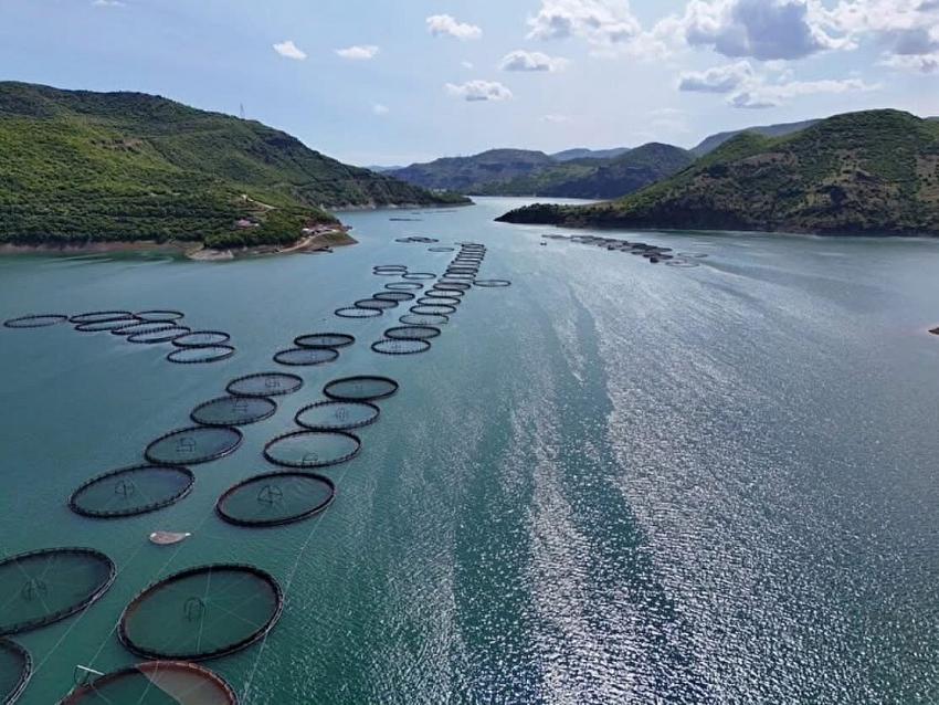 Balık Çiftlikleri Kurulacak