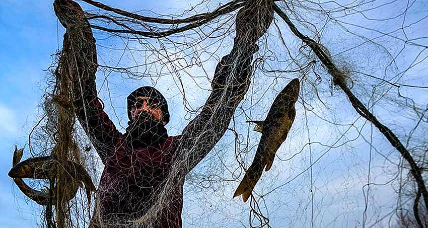 BALIK AVI YASAĞI BAŞLIYOR