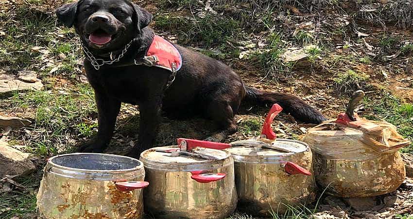 80 KİLO EYP İMHA EDİLDİ