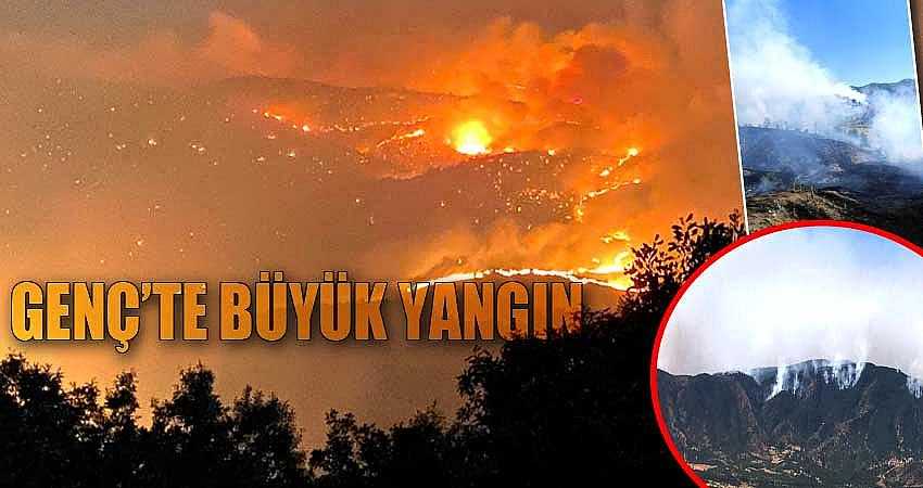 BİNGÖL’ÜN CİĞERLERİ YANDI