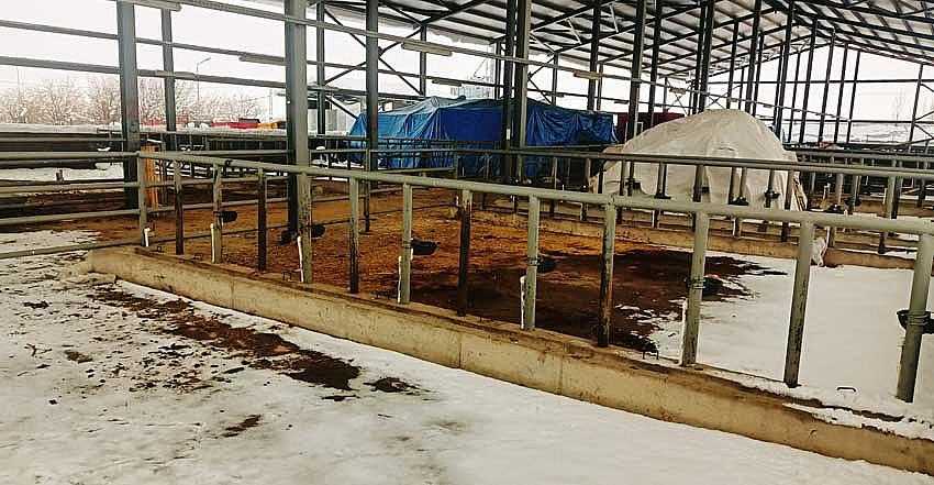 HAYVAN PAZARI BARINAK OLARAK KULLANILACAK