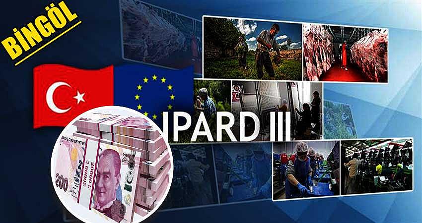 MİLYONLARCA LİRADAN MAHRUM KALDI