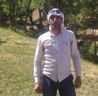 Domuz Çobanı Ağır Yaraladı