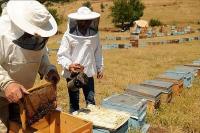 Bingöl Balı'na Altın Ödül