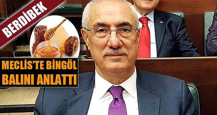 MECLİSTE BİNGÖL BALINI ANLATTI