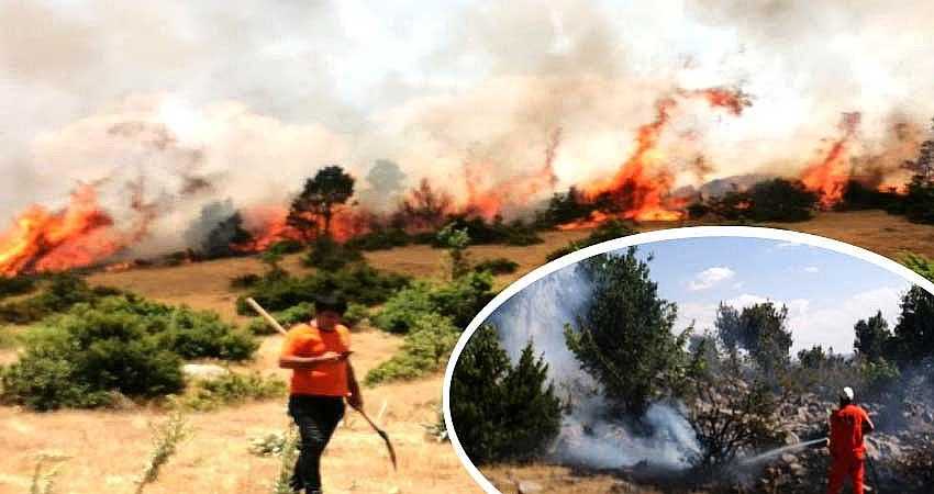 SERVİ’DE ORMAN YANGINI