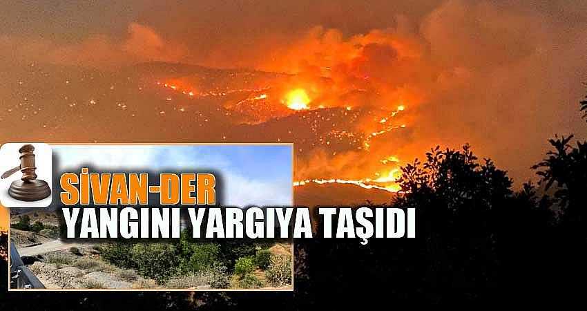 ORMAN YANGINI YARGIYA TAŞINDI