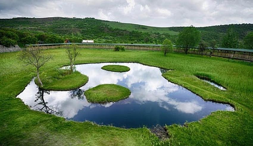 En Büyük İlçe Solhan Oldu